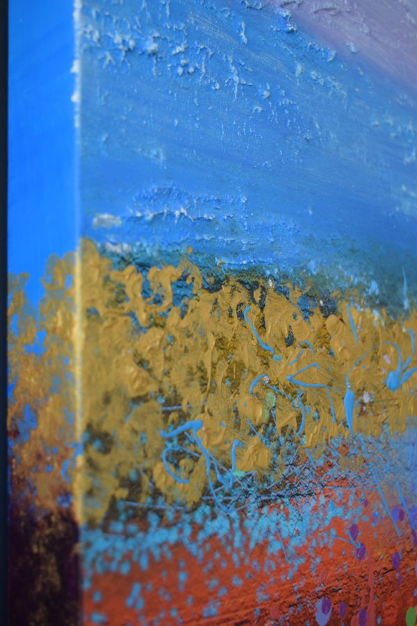 CAMPO DI COLORI - immagine 2