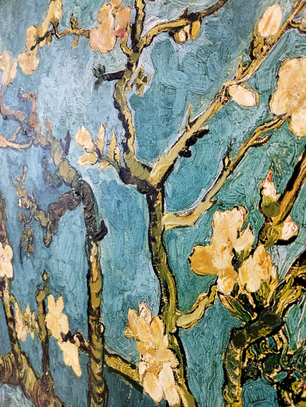 MANDORLO IN FIORE - immagine 3
