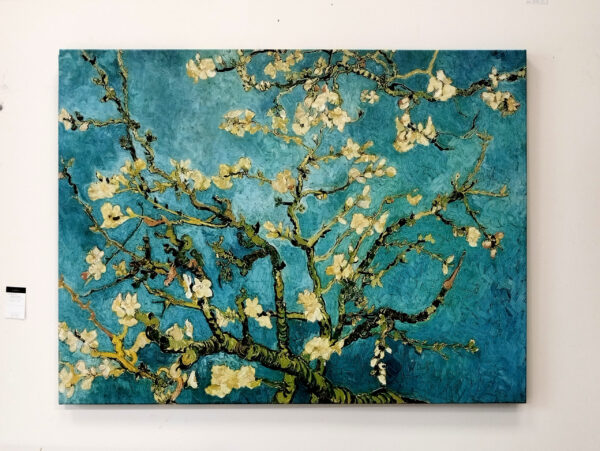 MANDORLO IN FIORE